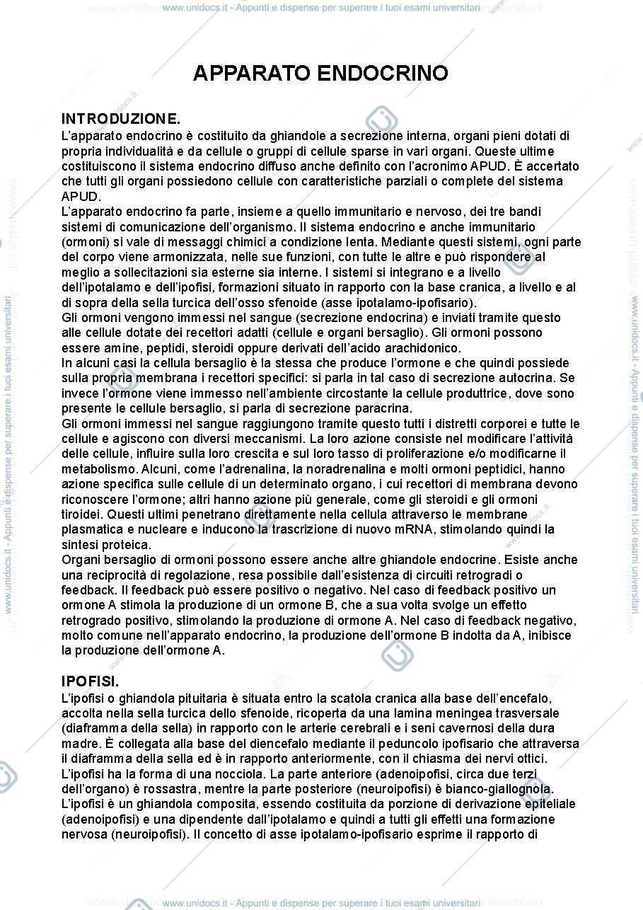 Anteprima pagina 1 — Anatomia umana - apparato endocrino