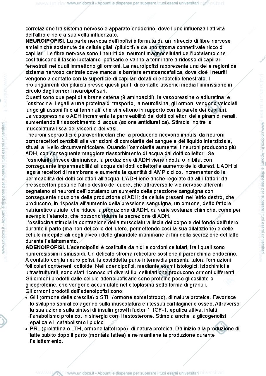 Anteprima pagina 2 — Anatomia umana - apparato endocrino