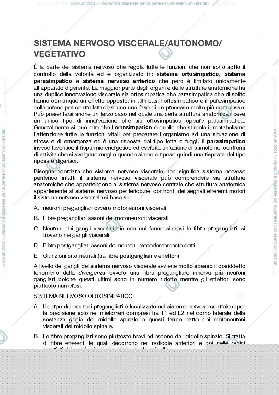Anteprima pagina 1 — sistema nervoso viscerale/periferico