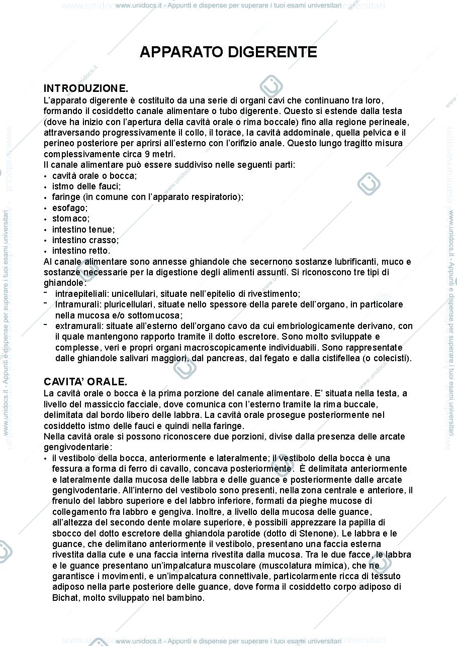 Anteprima pagina 1 — Anatomia umana - apparato digerente