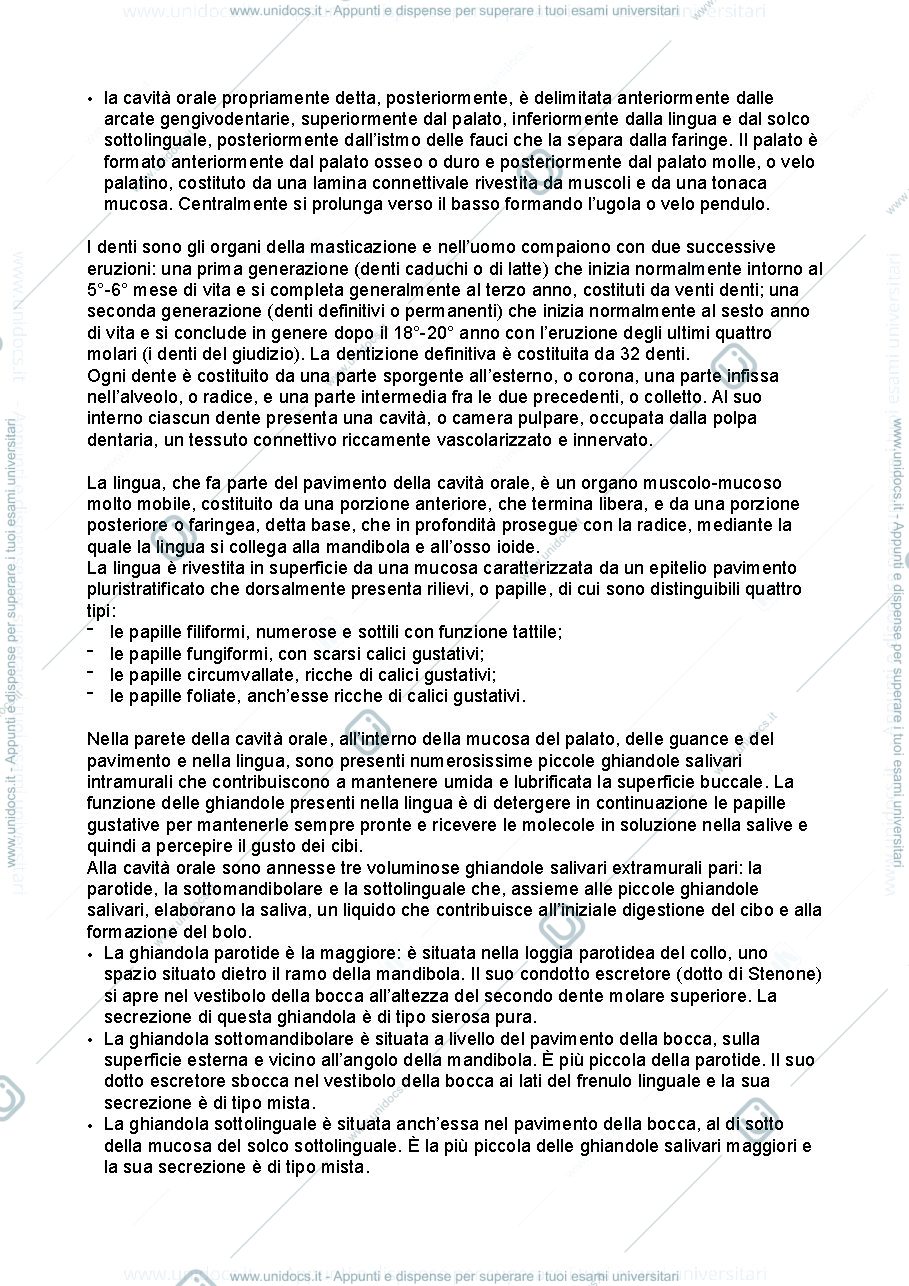 Anteprima pagina 2 — Anatomia umana - apparato digerente