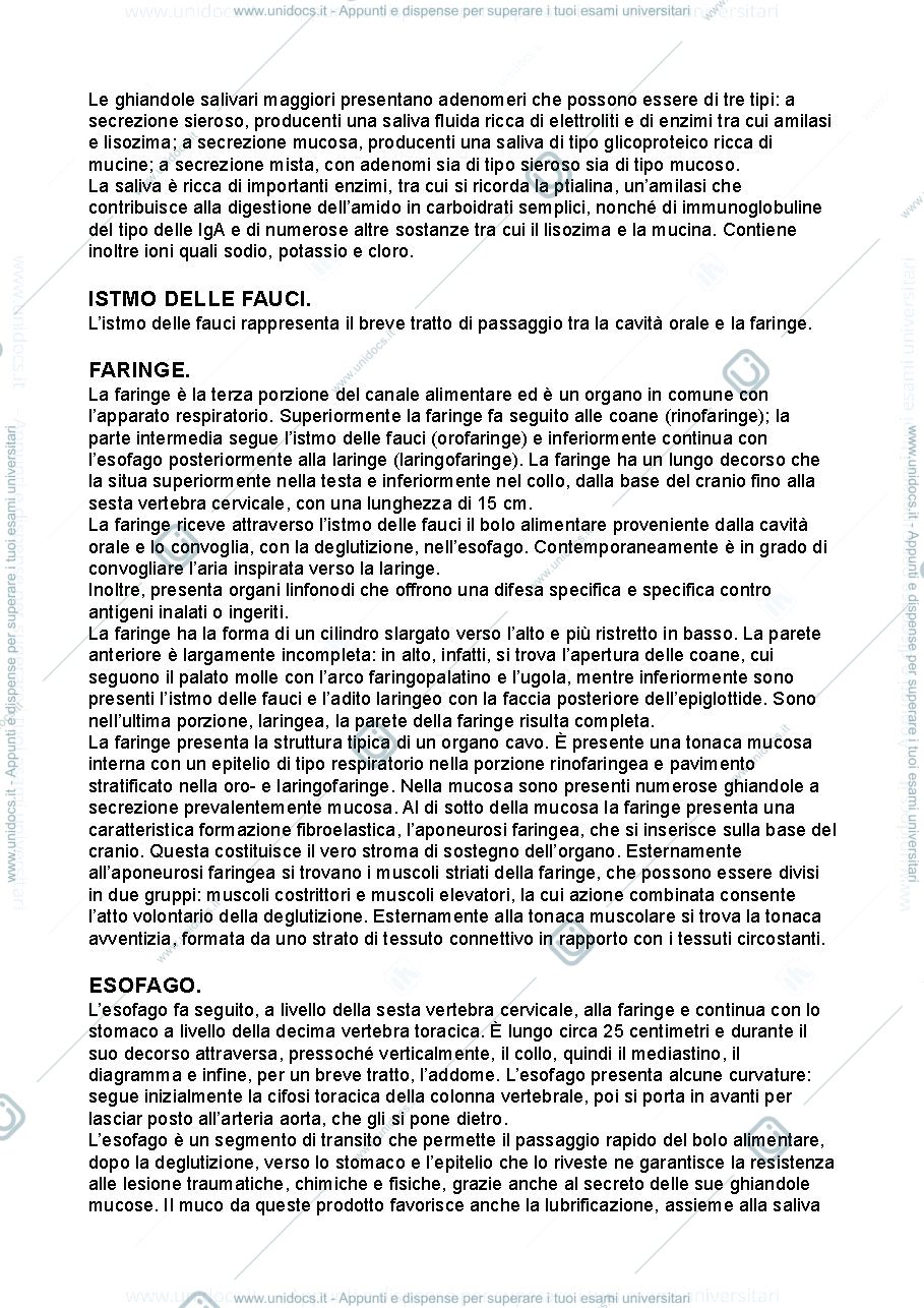 Anteprima pagina 3 — Anatomia umana - apparato digerente