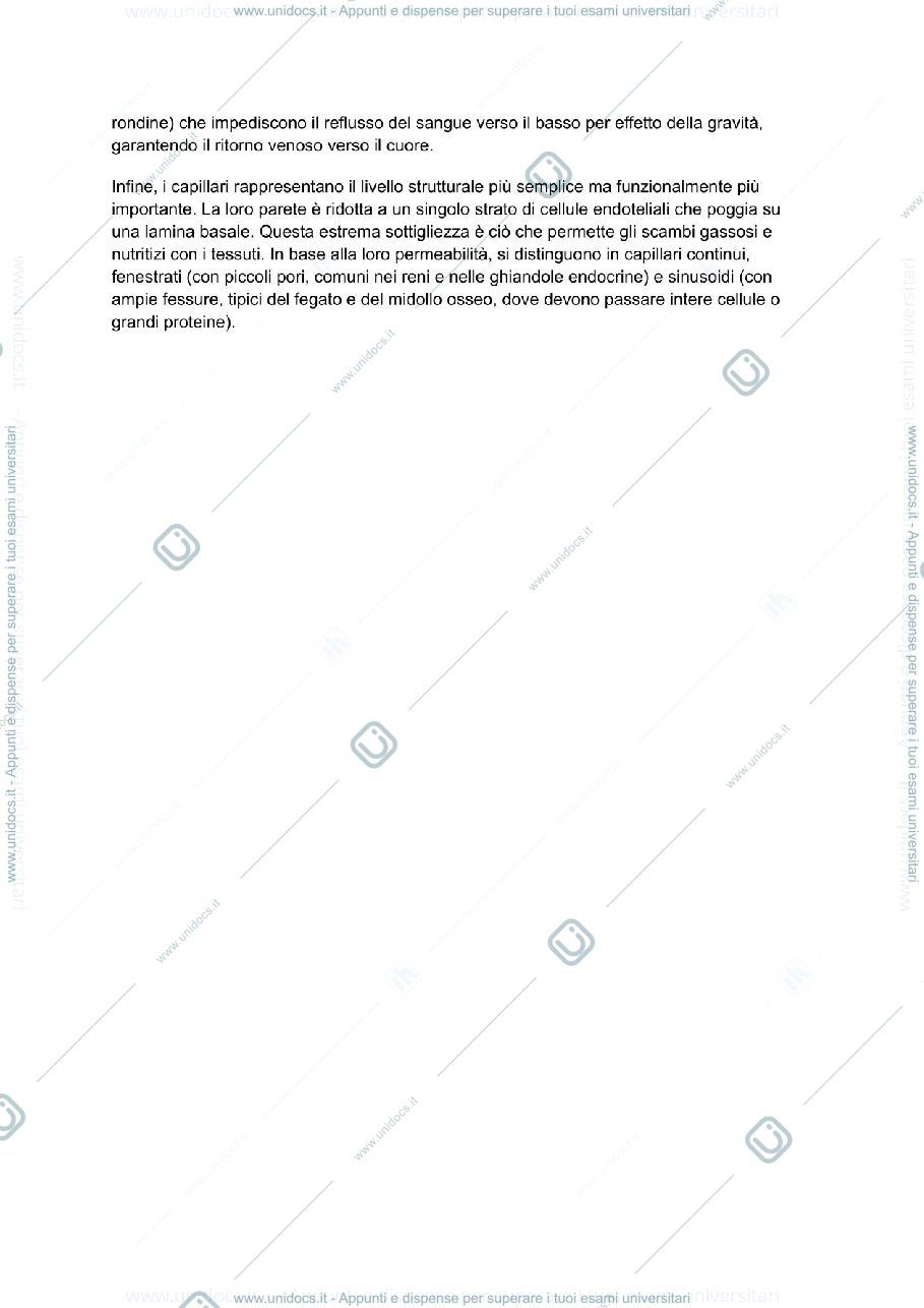 Anteprima pagina 1 — Appunti anatomia umana