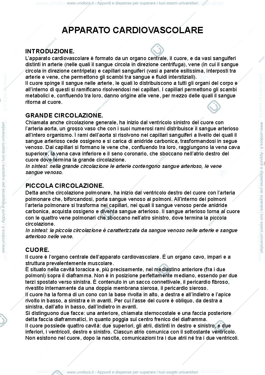 Anteprima pagina 1 — Anatomia umana - apparato cardiovascolare