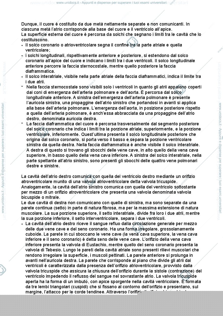 Anteprima pagina 2 — Anatomia umana - apparato cardiovascolare