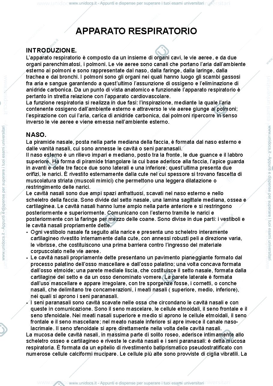 Anteprima pagina 1 — Anatomia umana - apparato respiratorio