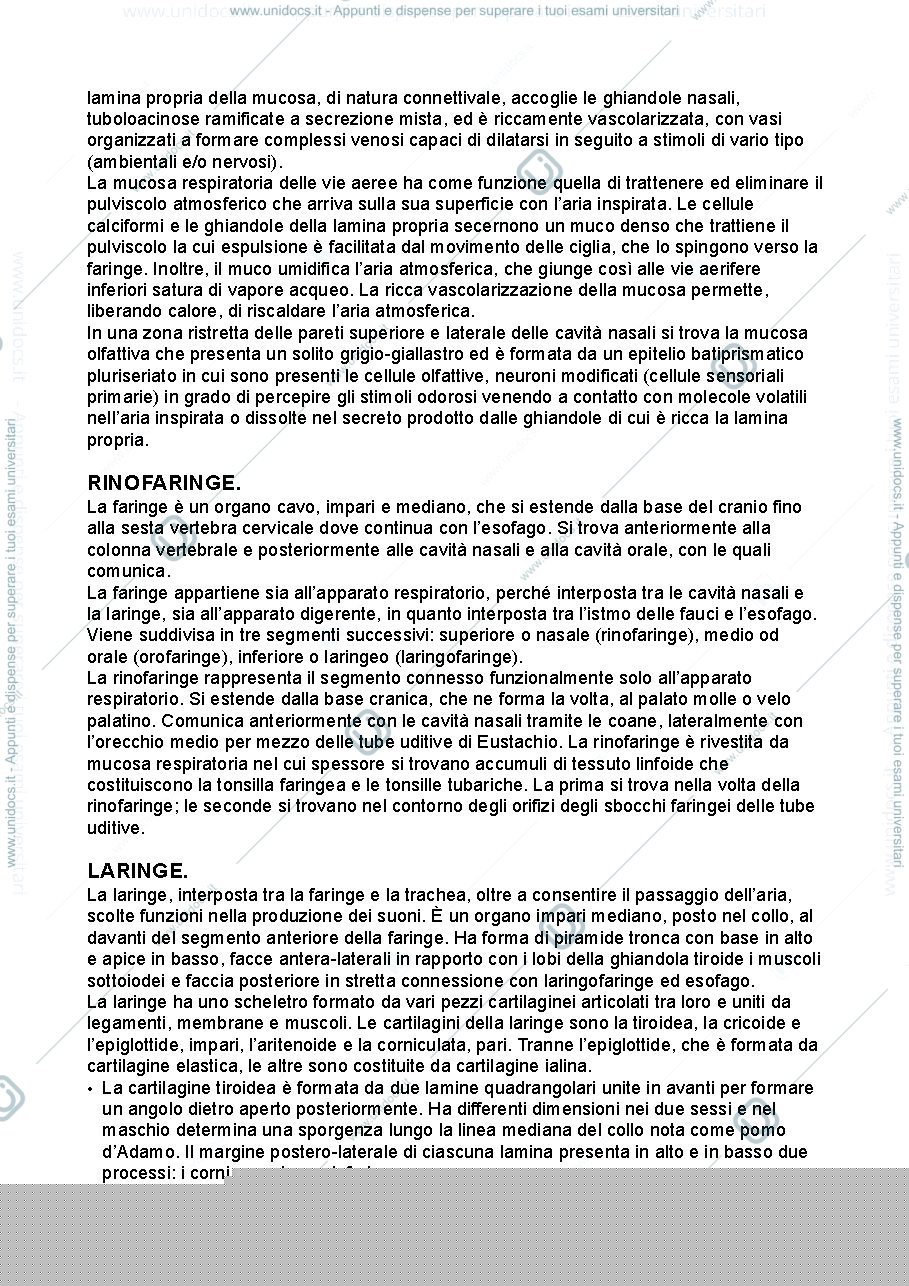 Anteprima pagina 2 — Anatomia umana - apparato respiratorio
