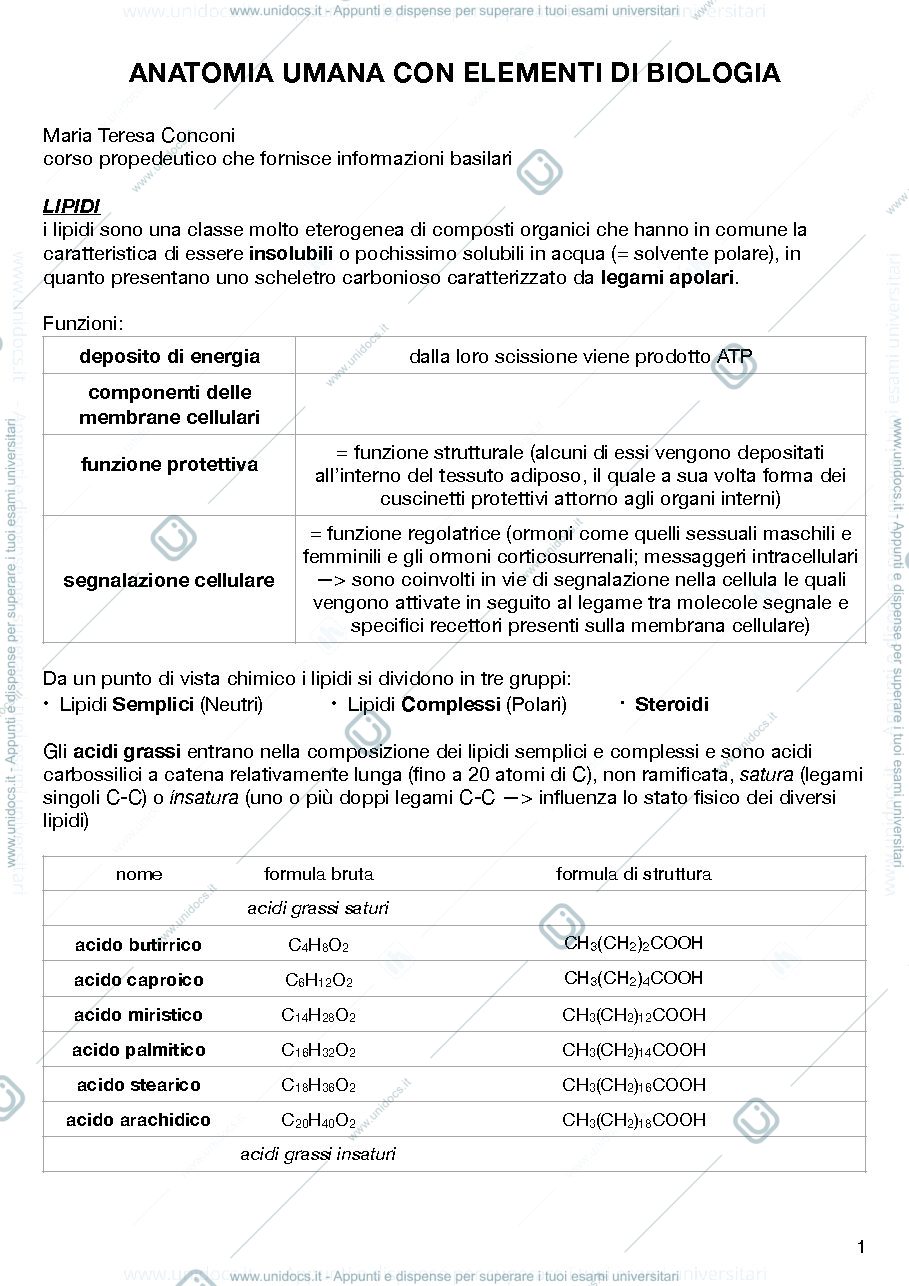 Anteprima pagina 1 — Anatomia umana con elementi di Biologia