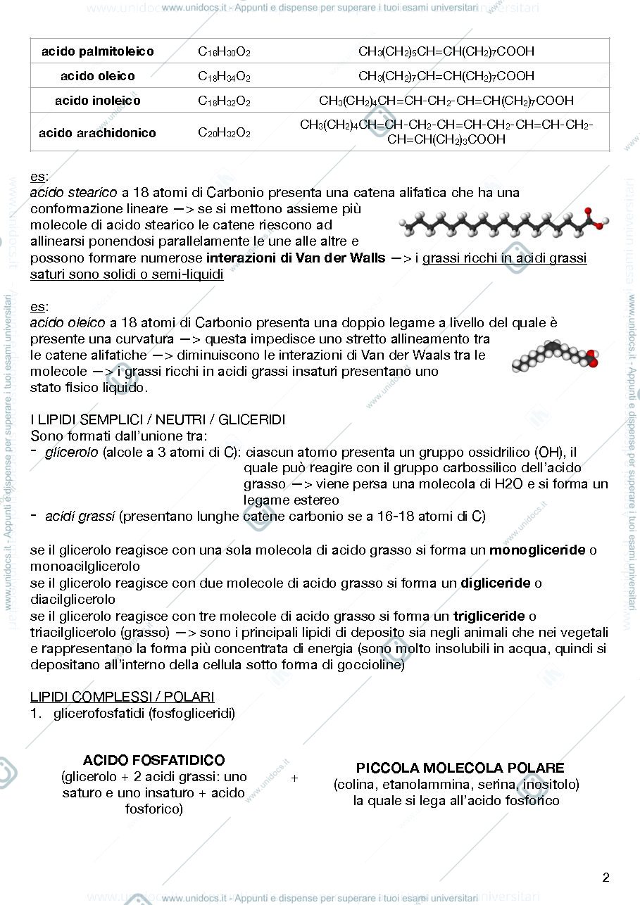 Anteprima pagina 2 — Anatomia umana con elementi di Biologia