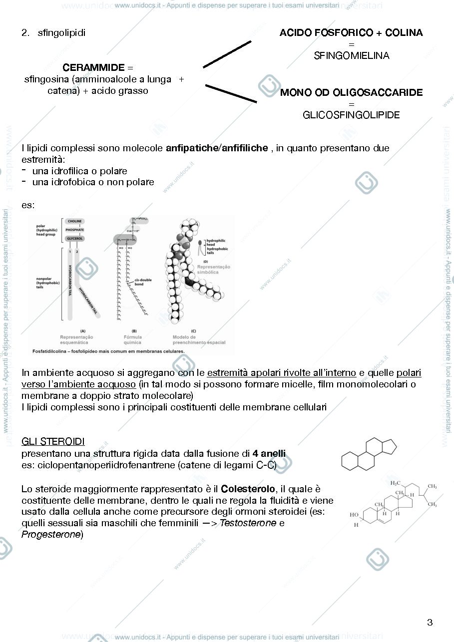 Anteprima pagina 3 — Anatomia umana con elementi di Biologia
