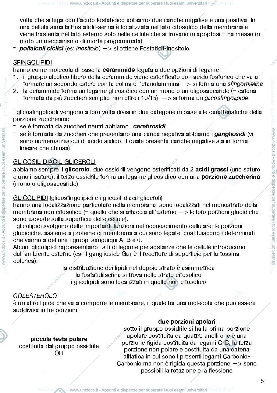 Anteprima pagina 5 — Anatomia umana con elementi di Biologia