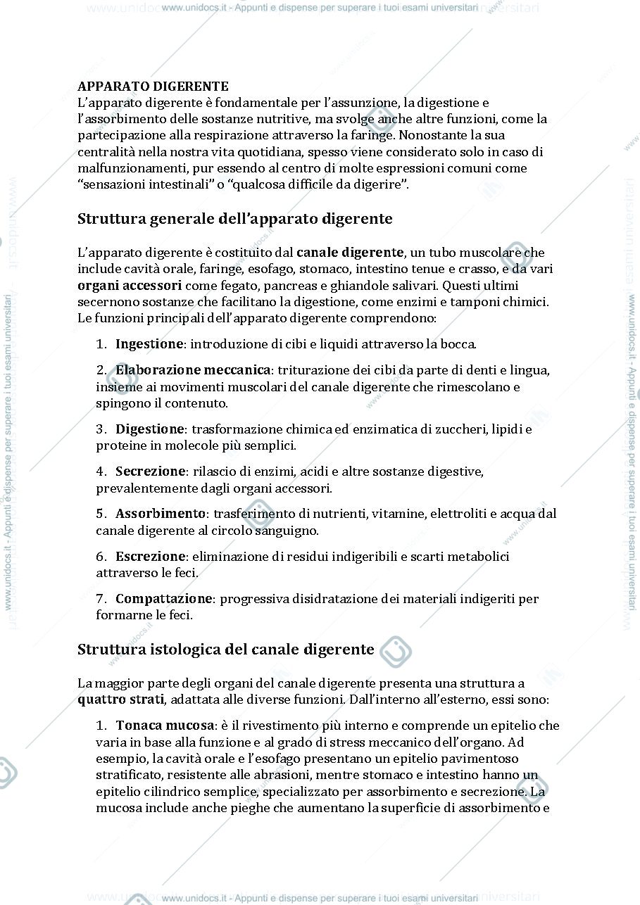 Anteprima pagina 1 — Apparato digerente 