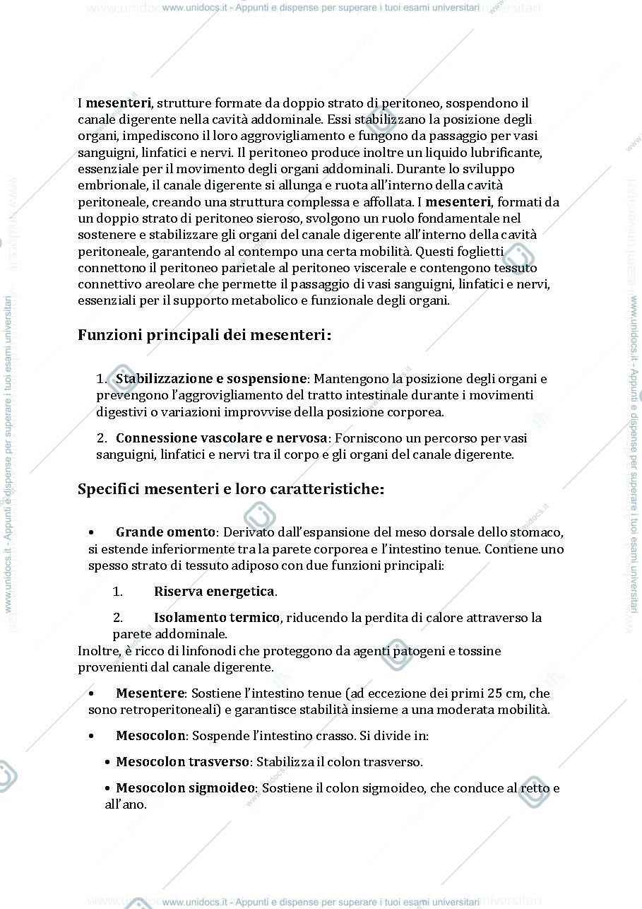 Anteprima pagina 3 — Apparato digerente 