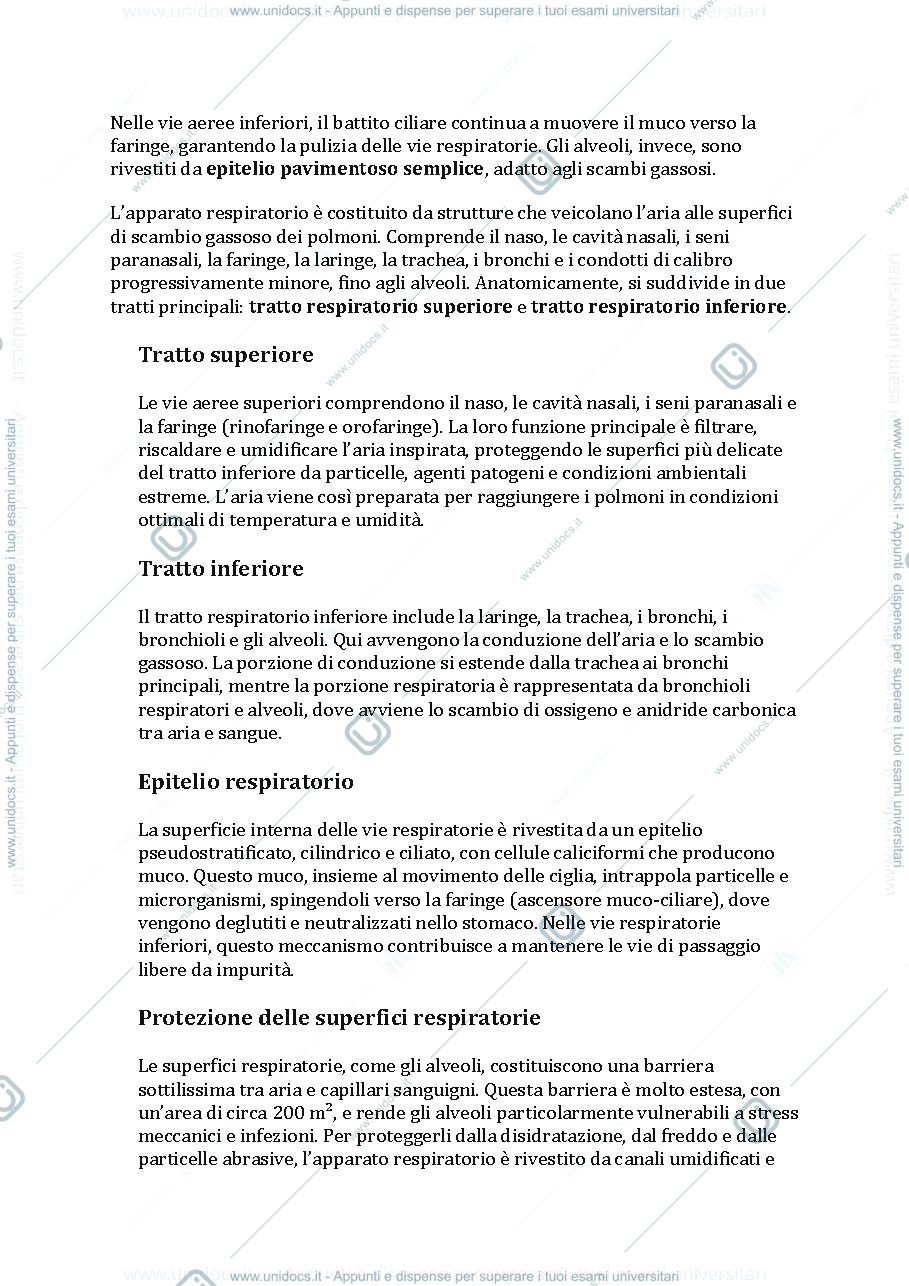 Anteprima pagina 2 — Apparato respiratorio 