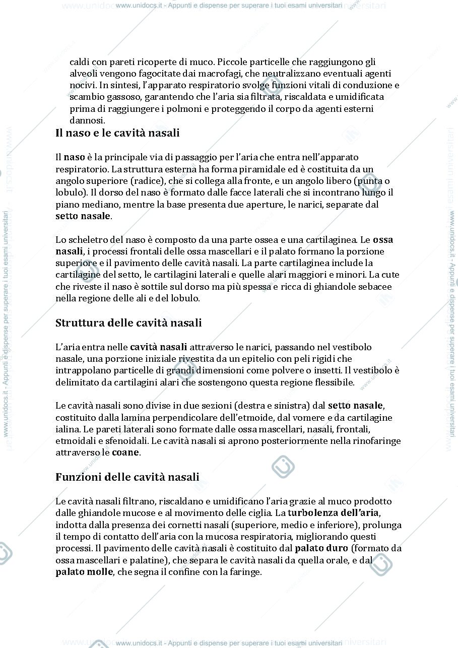 Anteprima pagina 3 — Apparato respiratorio 