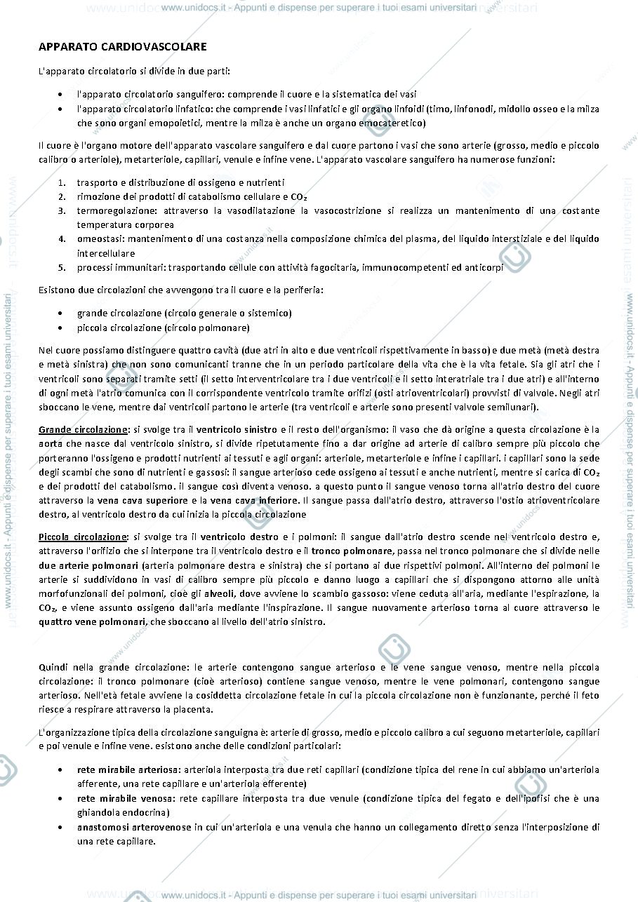 Anteprima pagina 1 — apparato cardiovascolare e cuore 