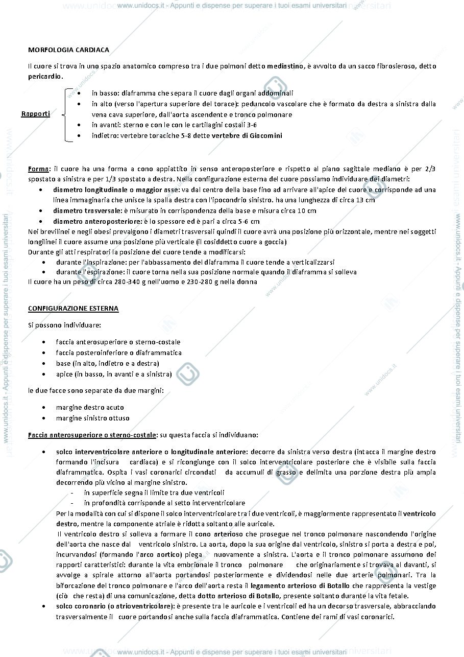 Anteprima pagina 2 — apparato cardiovascolare e cuore 
