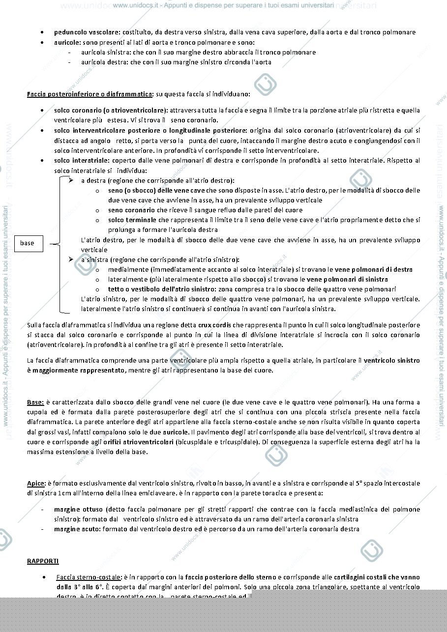 Anteprima pagina 3 — apparato cardiovascolare e cuore 