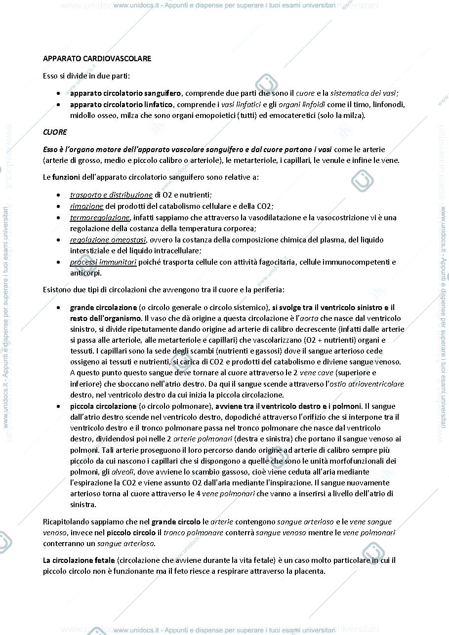 Anteprima pagina 1 — sbobine delle lezioni sull'apparato cardiovascolare e organi linfoidi