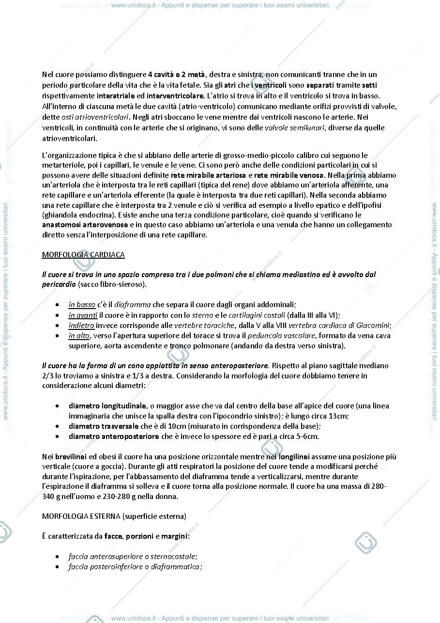 Anteprima pagina 2 — sbobine delle lezioni sull'apparato cardiovascolare e organi linfoidi