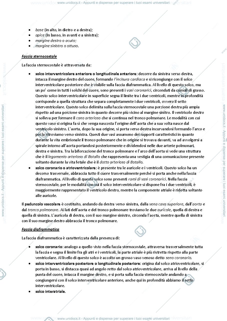 Anteprima pagina 3 — sbobine delle lezioni sull'apparato cardiovascolare e organi linfoidi