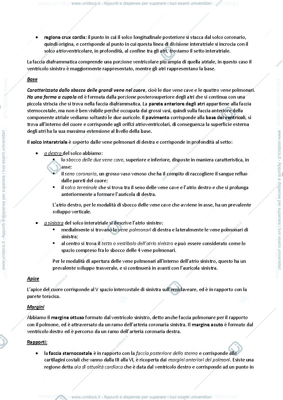 Anteprima pagina 4 — sbobine delle lezioni sull'apparato cardiovascolare e organi linfoidi