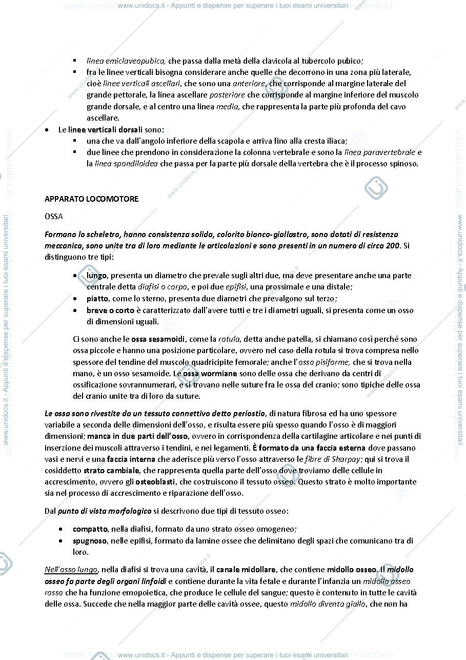 Anteprima pagina 3 — sbobine delle lezioni sull'apparato locomotore