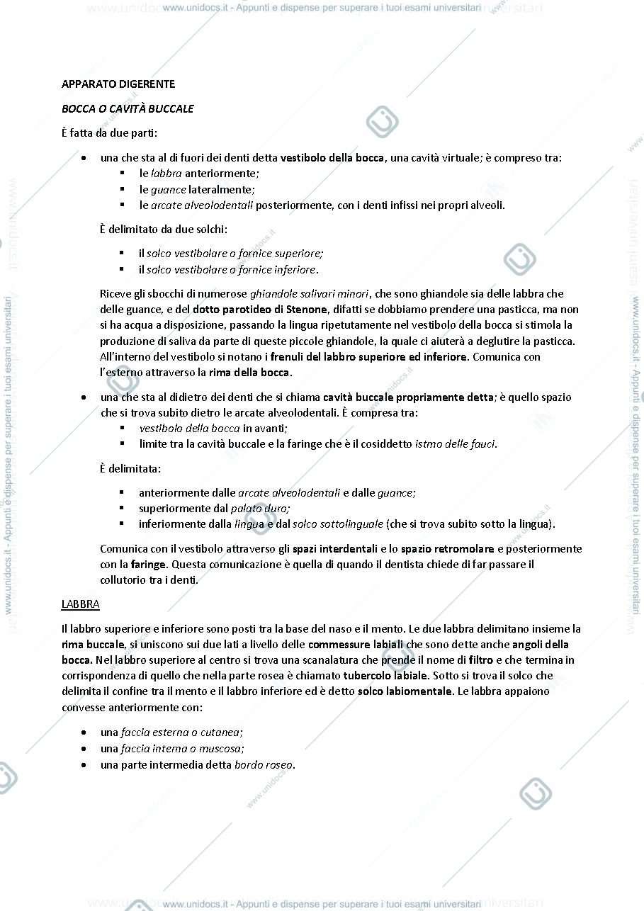 Anteprima pagina 1 — sbobine delle lezioni sull'apparato digerente