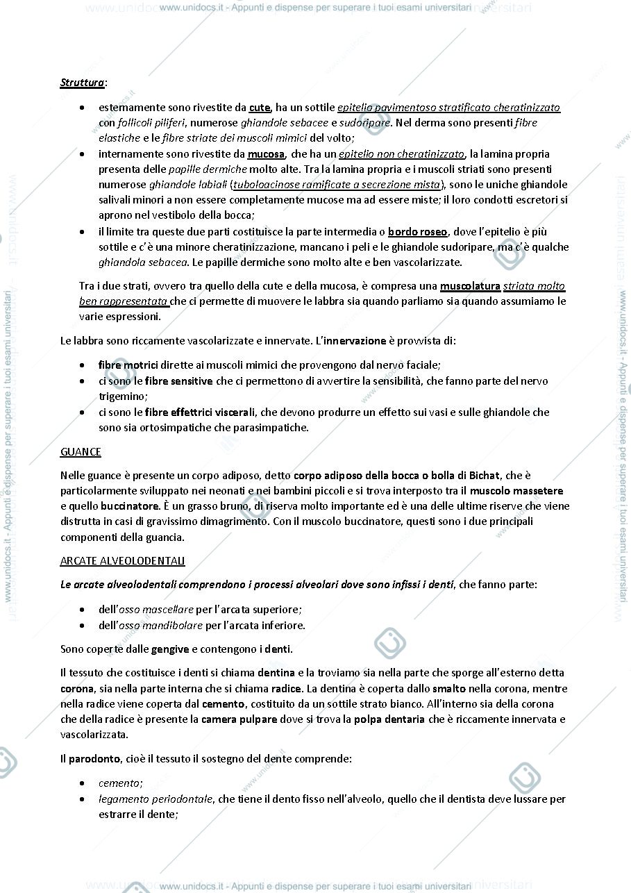 Anteprima pagina 2 — sbobine delle lezioni sull'apparato digerente
