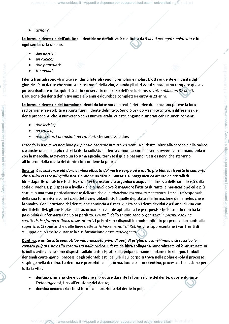 Anteprima pagina 3 — sbobine delle lezioni sull'apparato digerente
