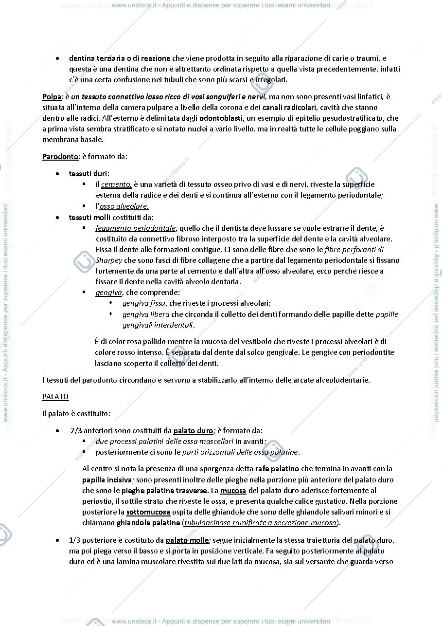 Anteprima pagina 4 — sbobine delle lezioni sull'apparato digerente