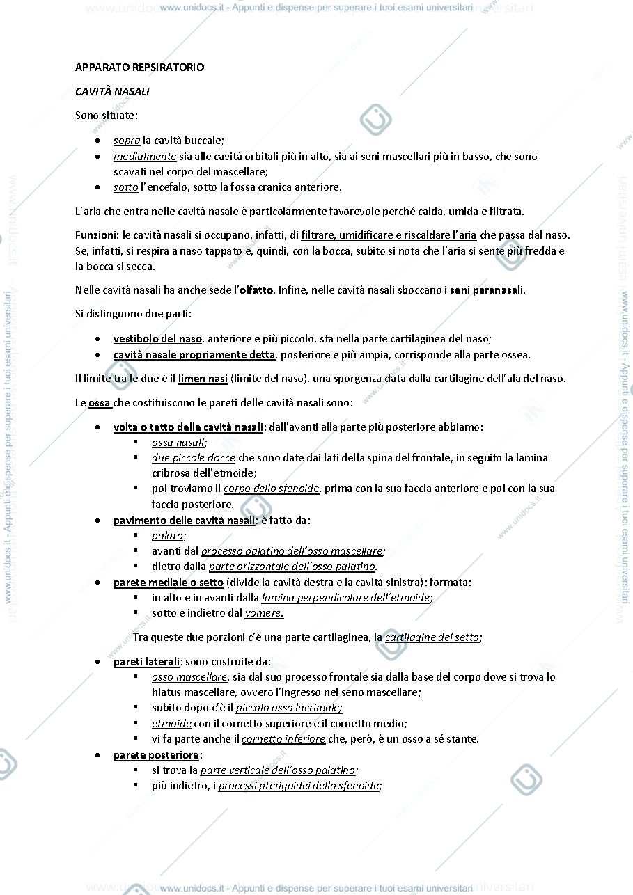 Anteprima pagina 1 — sbobine delle lezioni sull'apparato respiratorio