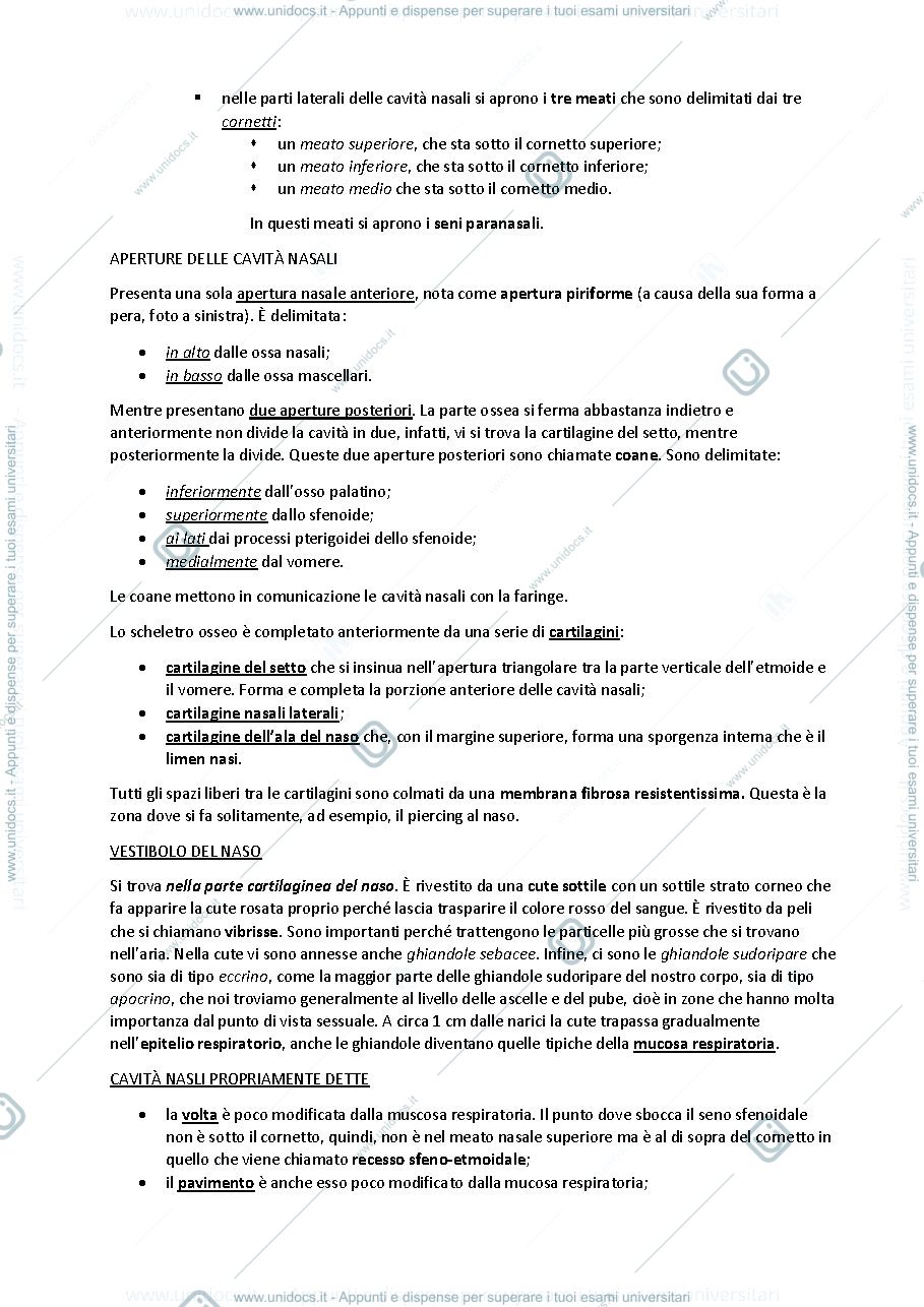 Anteprima pagina 2 — sbobine delle lezioni sull'apparato respiratorio