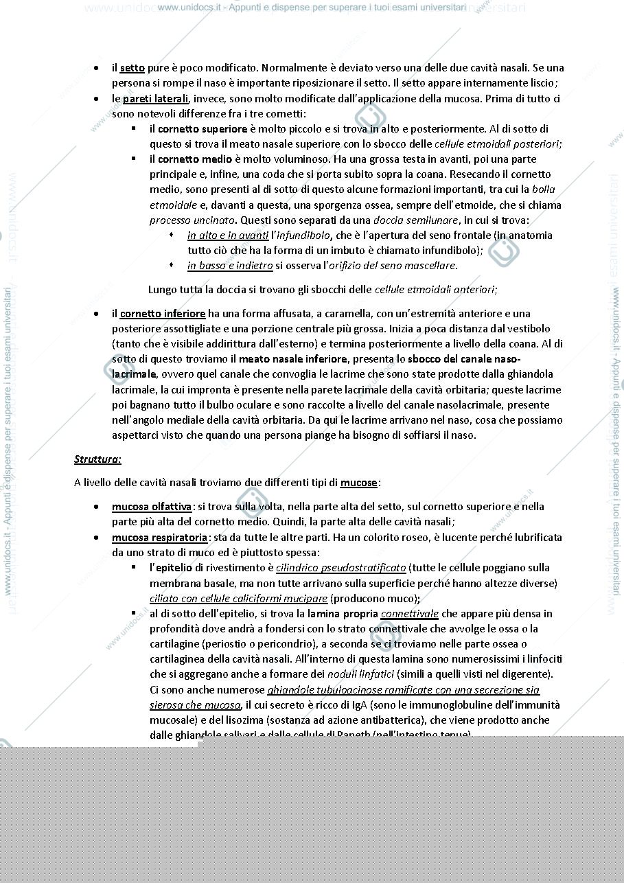 Anteprima pagina 3 — sbobine delle lezioni sull'apparato respiratorio