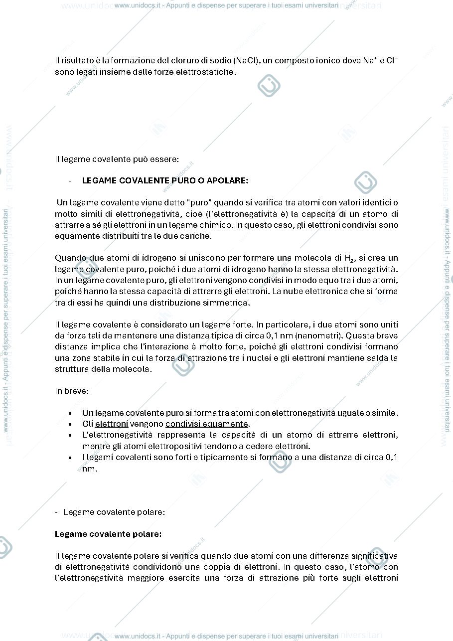 Anteprima pagina 2 — prime lezioni biologia