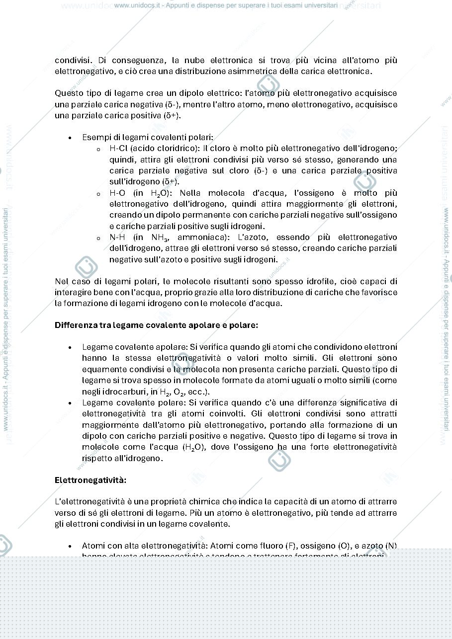 Anteprima pagina 3 — prime lezioni biologia