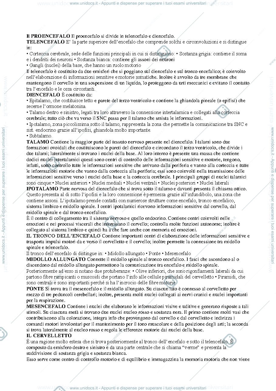 Anteprima pagina 1 — Anatomia umana 