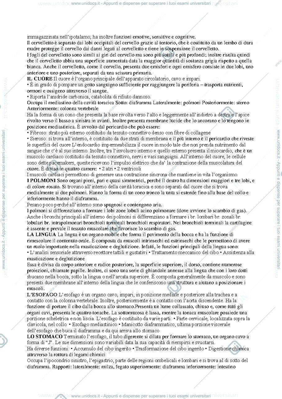 Anteprima pagina 2 — Anatomia umana 