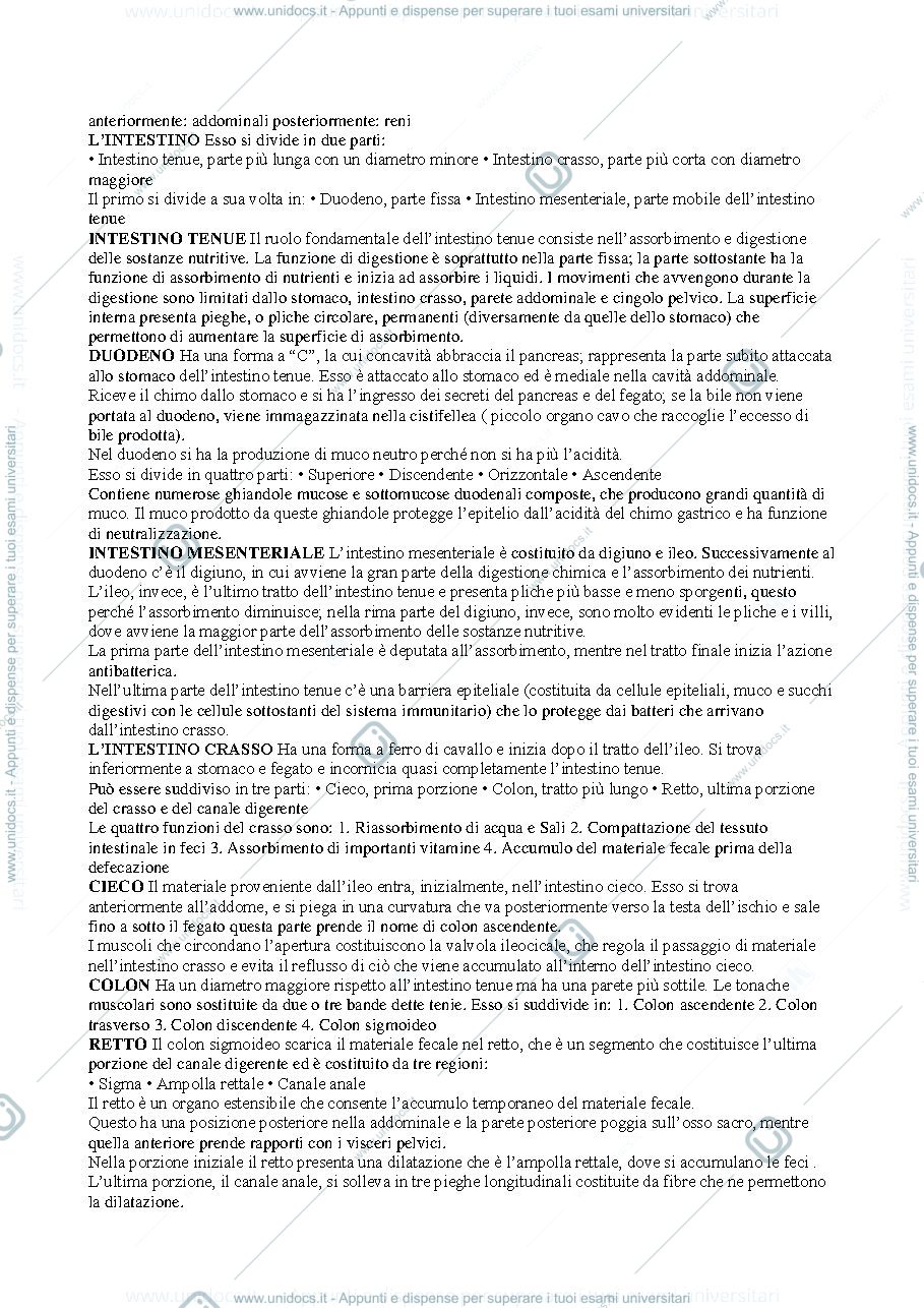 Anteprima pagina 3 — Anatomia umana 