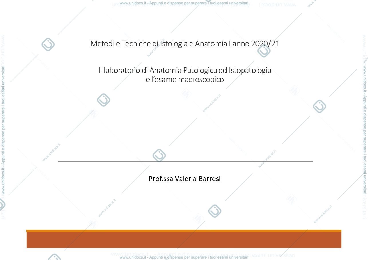 Anteprima pagina 1 — anatomia