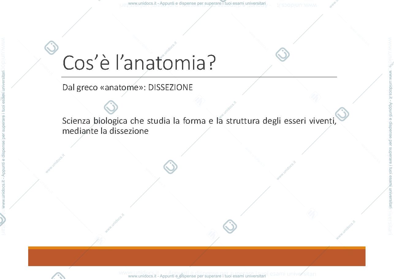 Anteprima pagina 3 — anatomia