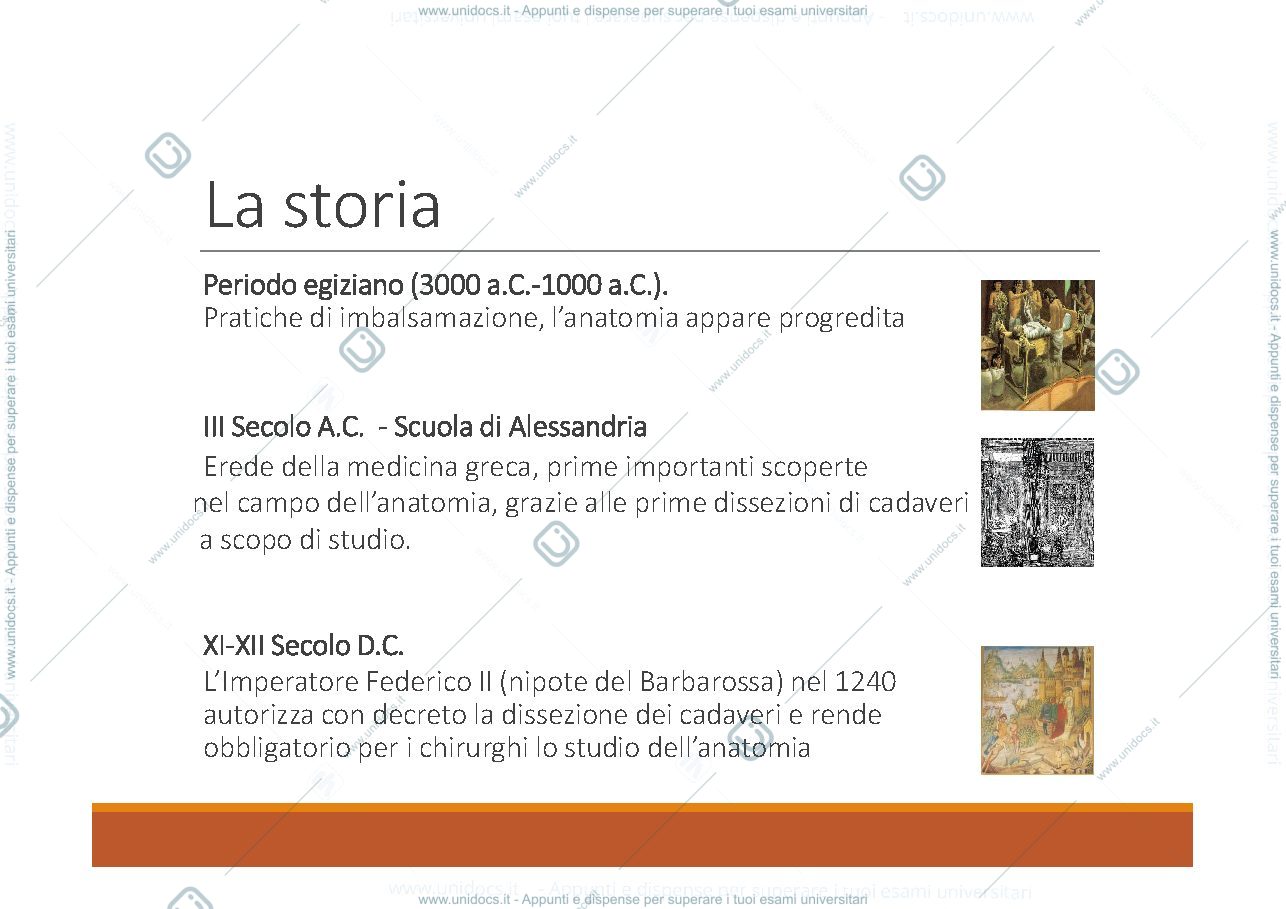 Anteprima pagina 4 — anatomia