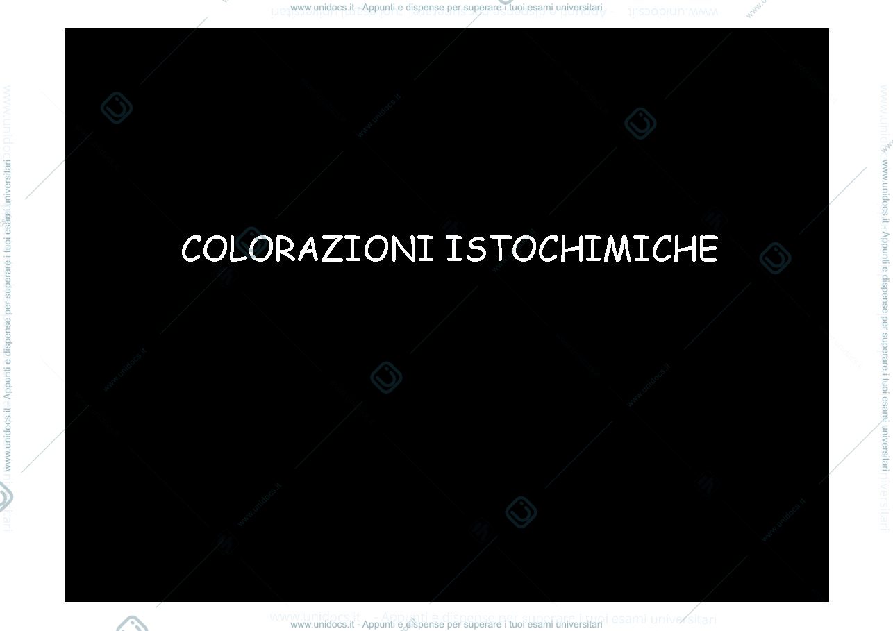 Anteprima pagina 1 — colorazioni