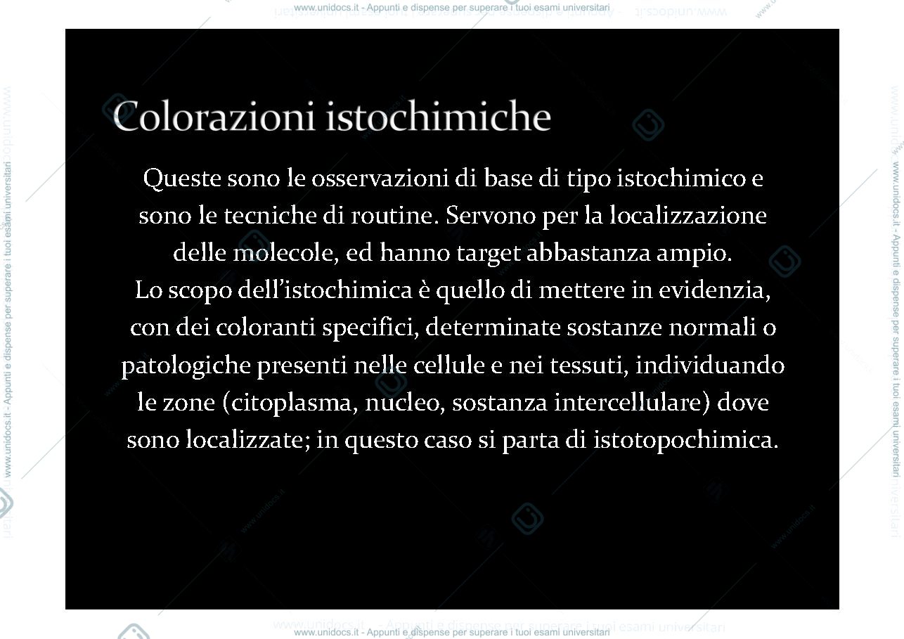 Anteprima pagina 2 — colorazioni