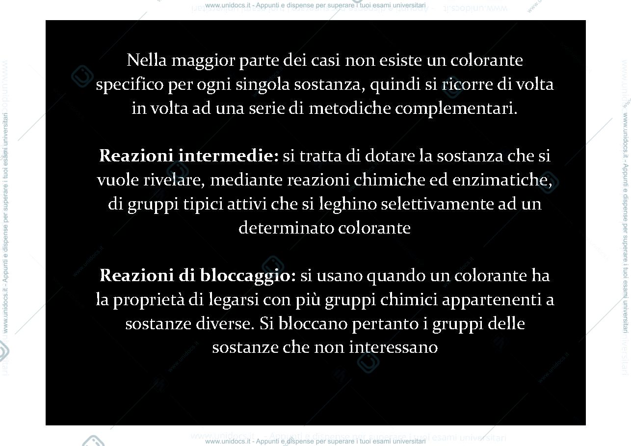 Anteprima pagina 4 — colorazioni