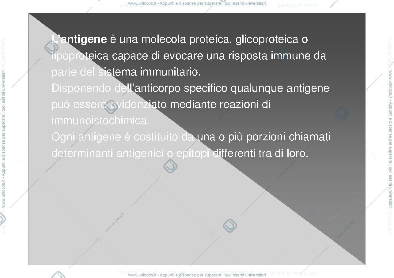 Anteprima pagina 4 — Immunoistochimica e citometria