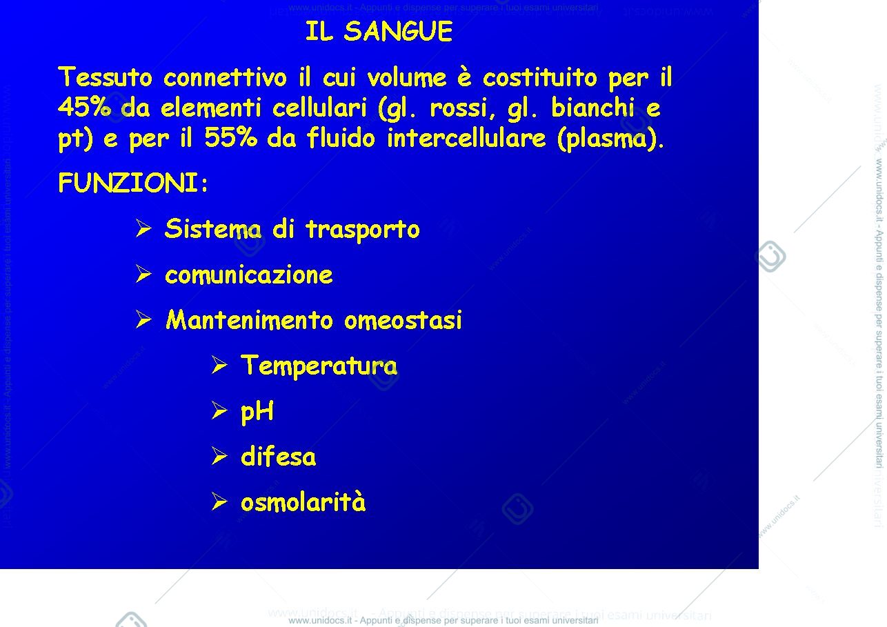 Anteprima pagina 1 — sangue
