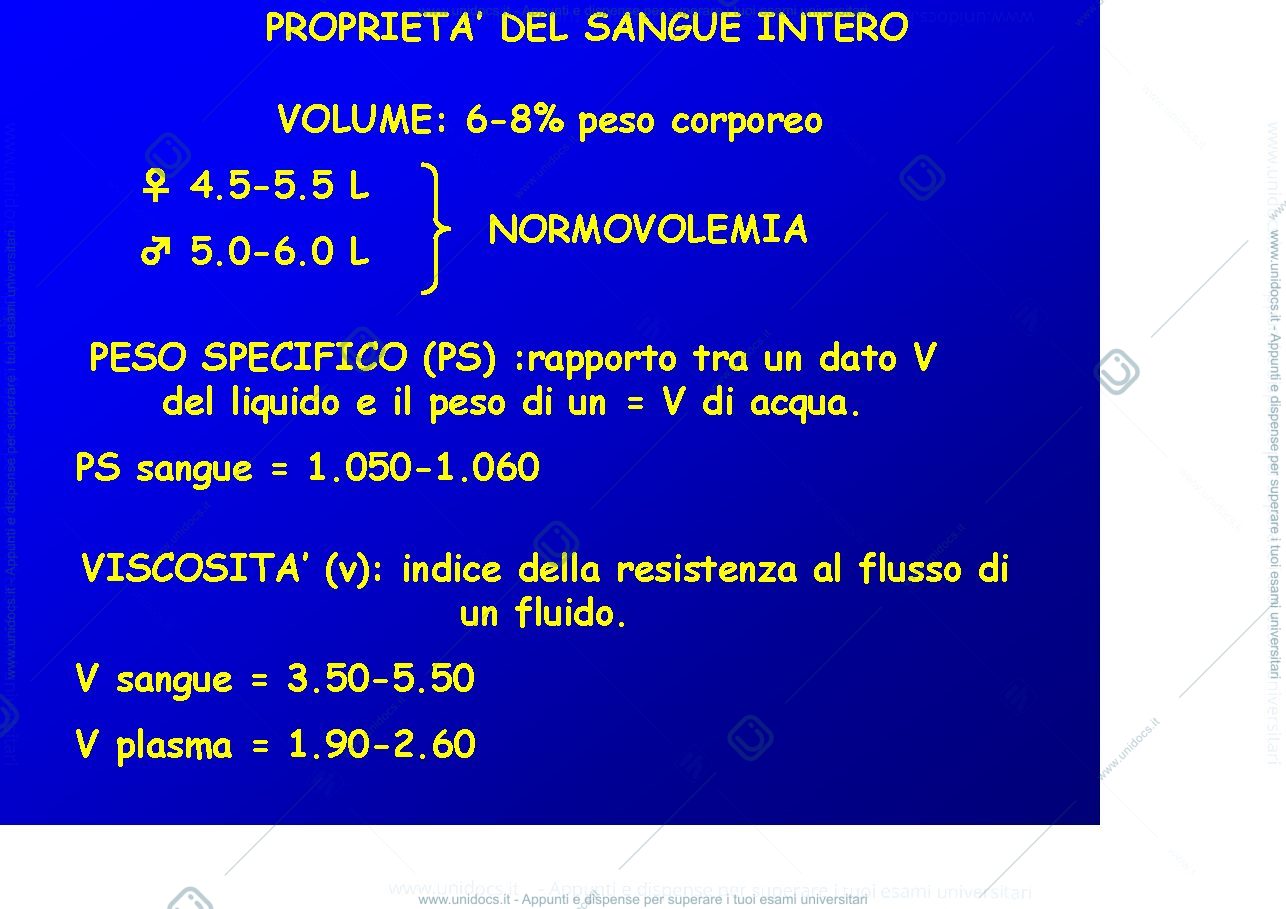 Anteprima pagina 2 — sangue