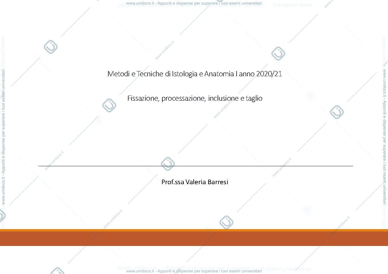 Anteprima pagina 1 — anatomia