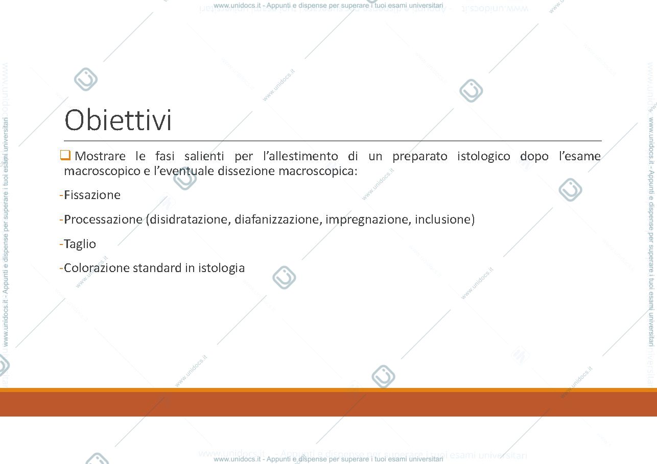 Anteprima pagina 2 — anatomia